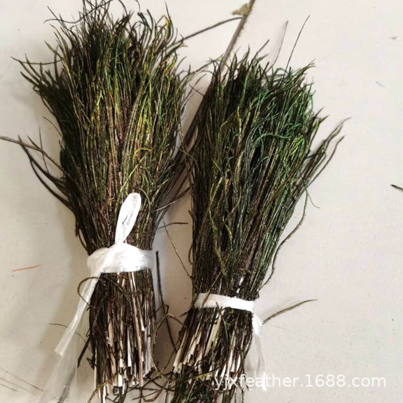 Factory Wholesale Peacock Silk Tie Fish Hook Fly Hook Material Feather Natural High Quality Peacock Hair Rod Natural