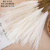 Mini Panpas Reeds INS Wind Simulation Flower Manufacturer Home Decoration Wedding Wholesale Fake Fake Fake Fake MW85102