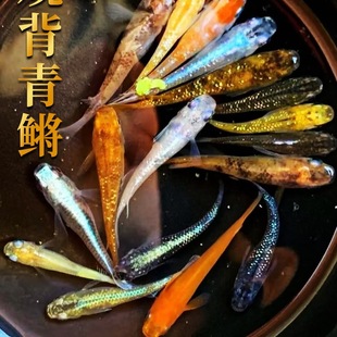 �^�����F�~�ԁ�ˮ���B�ͻ��w��ˮ�~������С���^�p�~���~���B