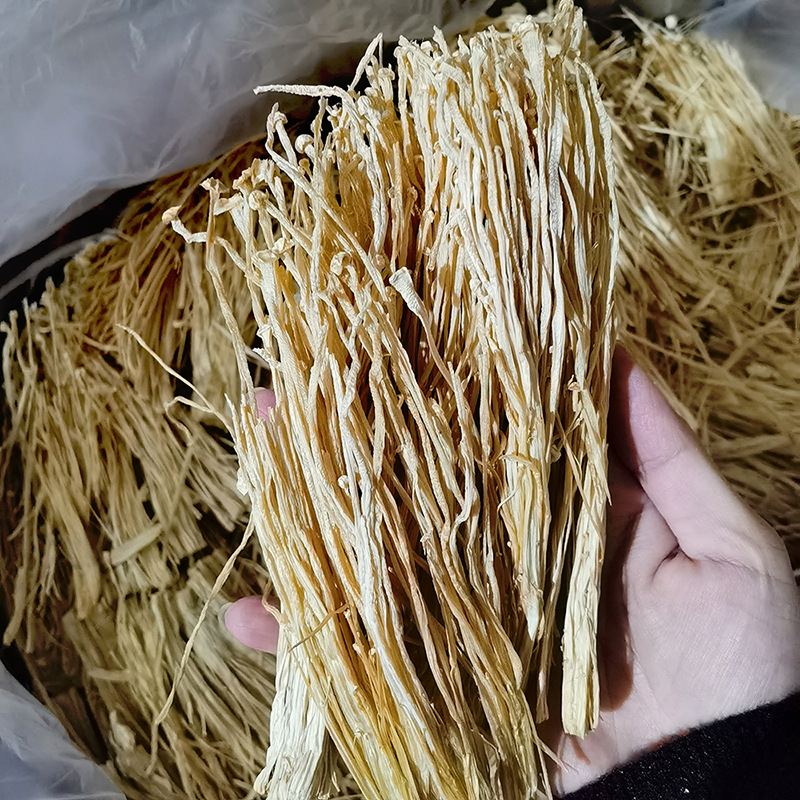 Gutian trimmed stem no-root white unopened cap enoki mushroom farmhouse bulk dried goods 500g no-sulfite enoki mushroom wholesale