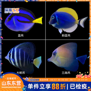 �{���{������ˮ�~���ǵ�����������w�󷫵����{�����^�p�~�����~