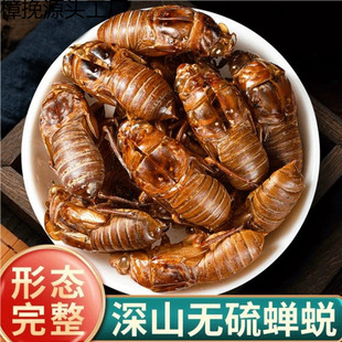 �s͑5g���s���½��s���s��֪��Ƥ֪�˚��x���s�˚���