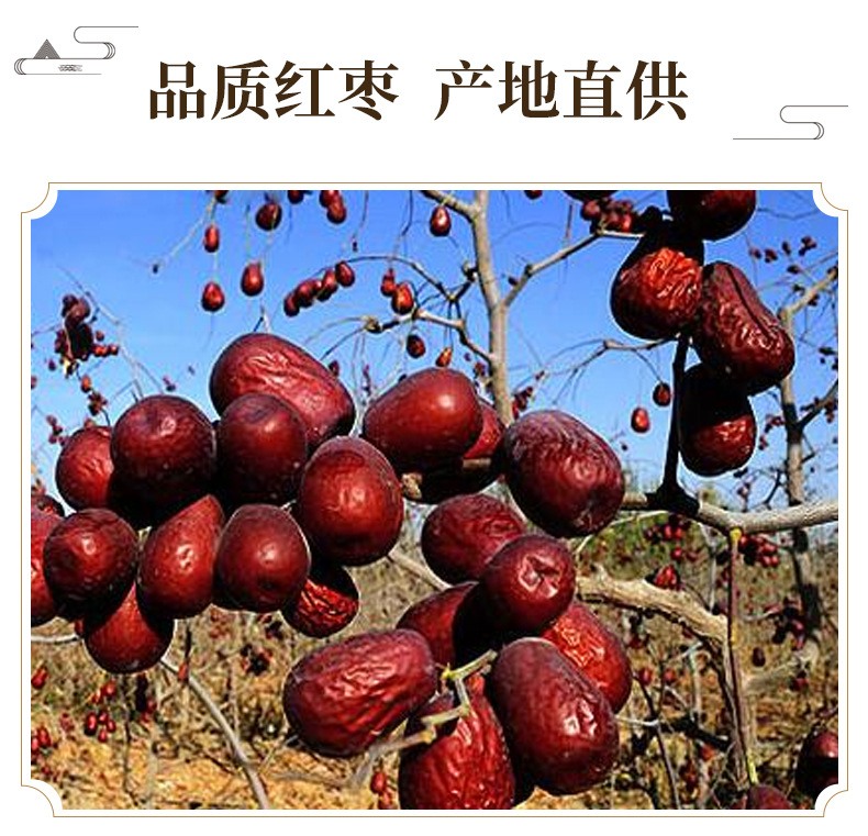 Premium Xinjiang Red Dates Ruoqiang Grey Jujube 500g Ready to Eat Dried Fruit Sweet Snack and Tea key features