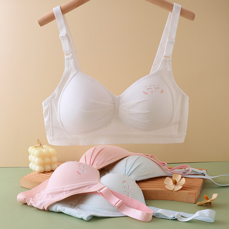 2026 Spring/Summer Thin Style Adolescent Girls' Bras for Middle and High School Students, Fashionable Printed Cute Comfortable Underwear Wholesale
