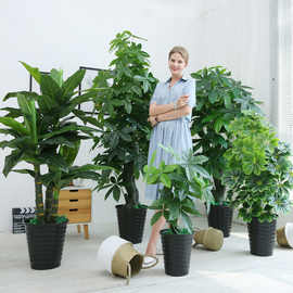 假盆栽植室内客厅发财树塑料绿发财厂家落地大型绿花厂装饰植树