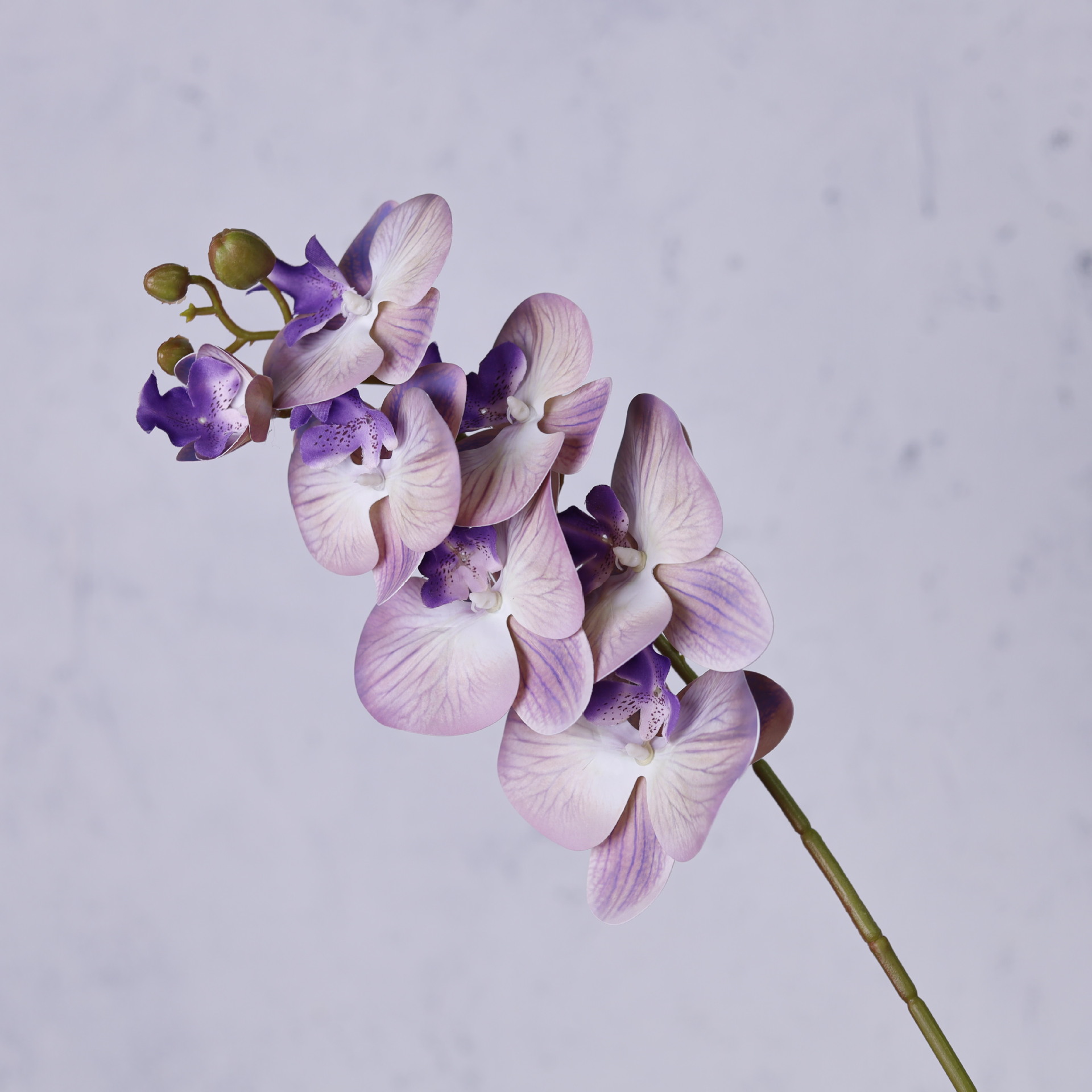 Impresión 3D de 7 cabezas de orquídeas mariposa flor de decoración de flores de alto nivel flor de nicho decoración floral decoración de sala de estar