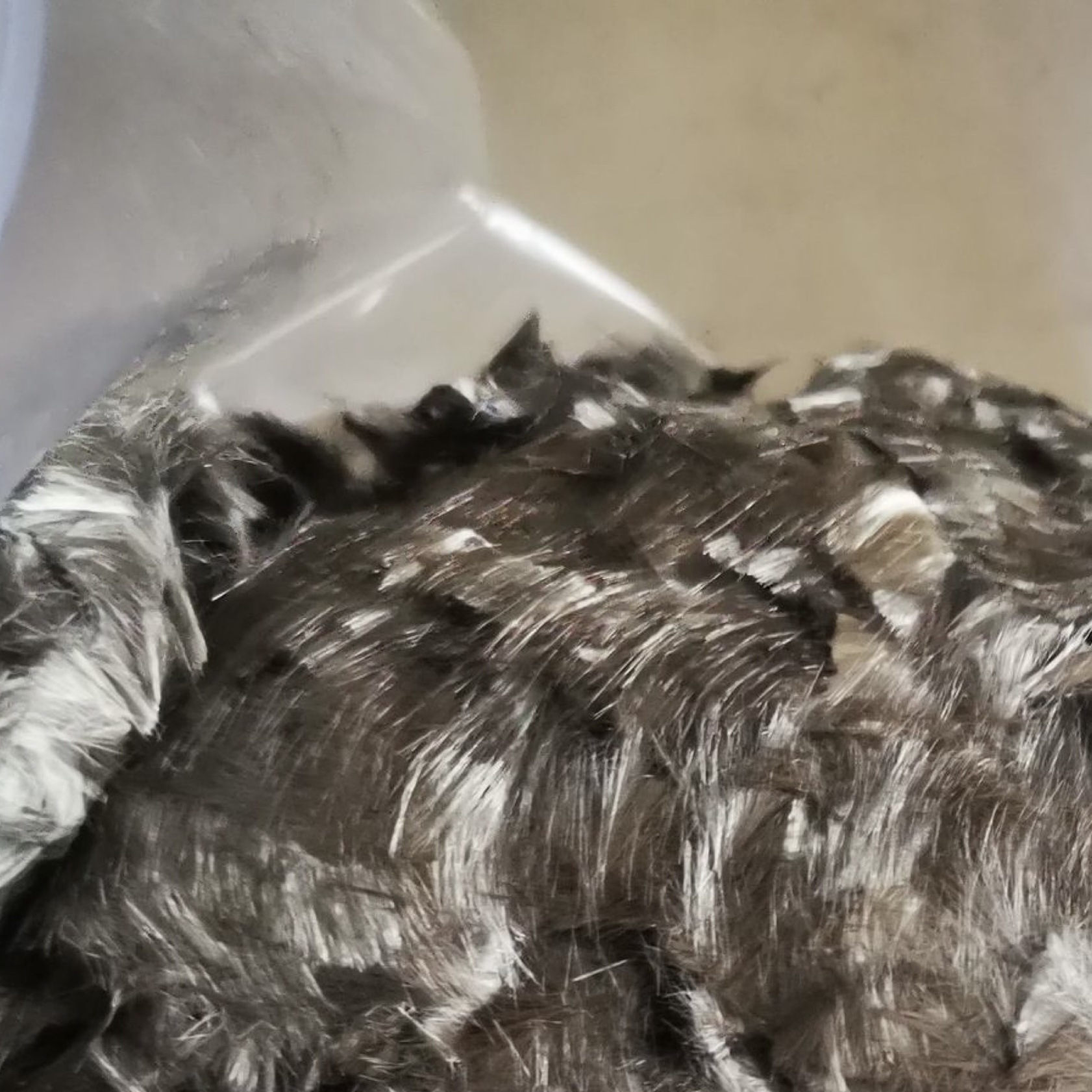 东丽超导电镀镍短切碳纤维丝  电磁屏蔽6mm镀镍短切碳纤维