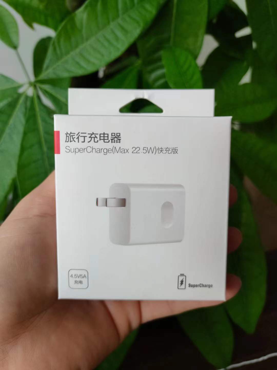 微信图片_202201092132456