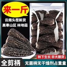 云南头茬羊肚菌干货一斤 林地种植 菌菇汤包煲汤食材批发50g500g