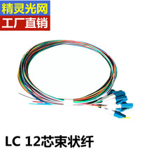 LC小方頭12芯12色單模ODF束狀熔接盤光纖跳線尾纜