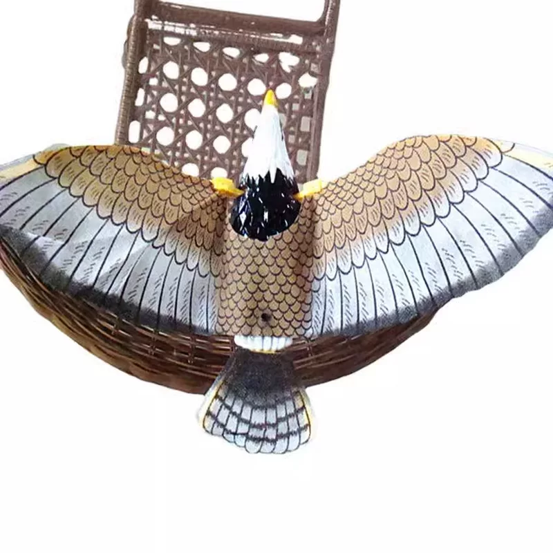 Electric toy, eagle, pet