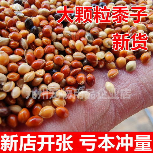 New grain five-color millet parrot feed bird food mixed grain black phoenix tiger skin peony bird food food shelled millet