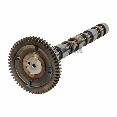 Crankshaft, camshaft Camshaft 0412 5160