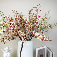 ����3DС�m���zƬ�ָ�С���m�����m���滨�Ҿӿ͏d�[����c�Ĕz