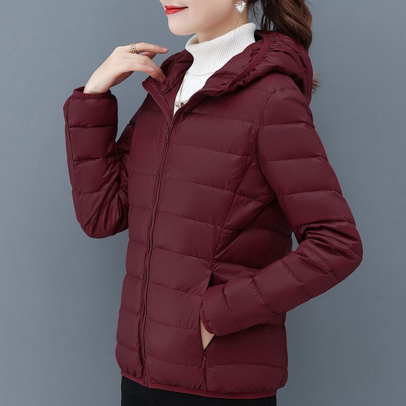 부르고뉴 - 후드 포함