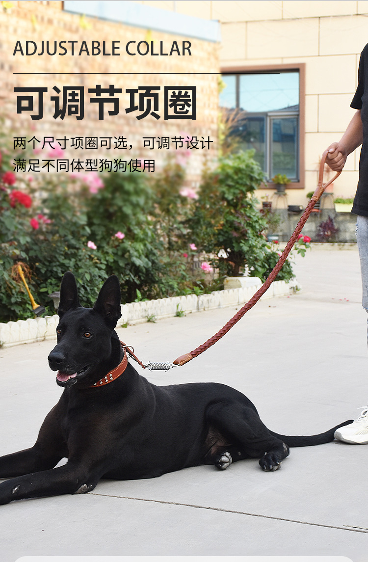 530a8f90-8730-4f49-94a7-67423ae8d3db.png