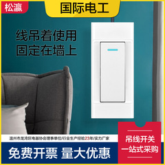 日本のベッドの上のスイッチを持って、古いワイヤコントロールの電気スタンドのスイッチボタンを握って、圧力式の電線の電灯の小さいスイッチを押します。
