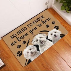 Cross-border e-commerce AliExpress Amazon Dog Series Indoor Entrance Mat 3D Digital Printing Rugs Floor Mat Dropshipping One Piece
