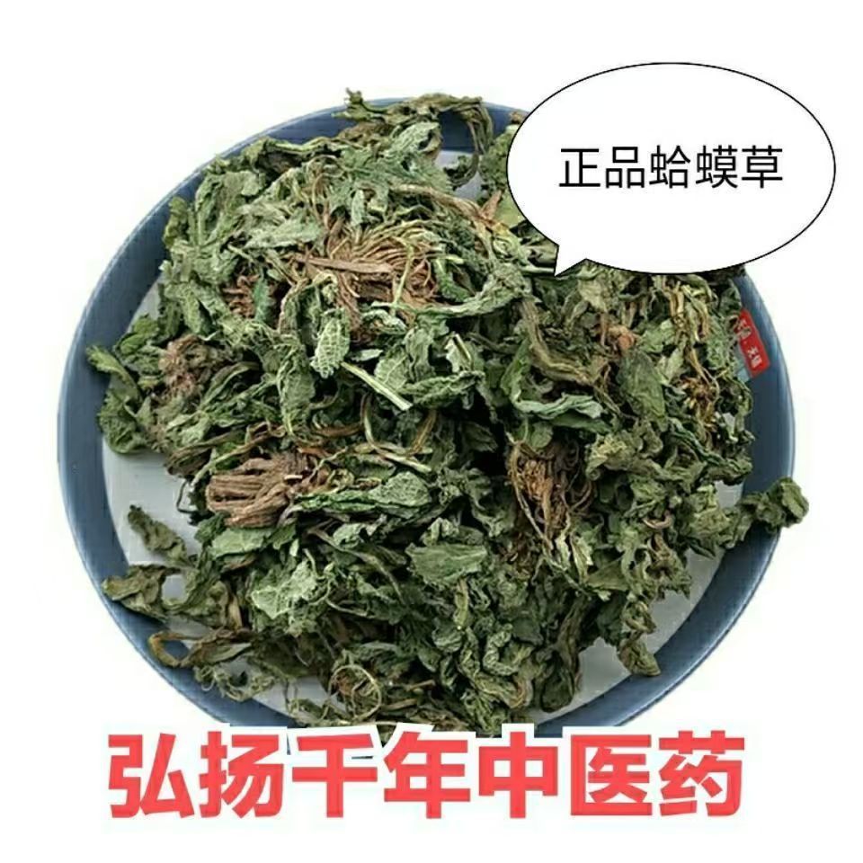 Dried Toad Herb Ha Ma Cao 蛤蟆草 Salvia plebeia Whole Herb 500g for Culinary Herbal Use specifications