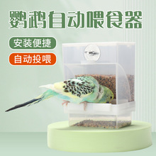 虎皮牡丹玄凤鹦鹉自动下料器防溅外挂鸟食盒防撒喂鸟喂食器鸟用品