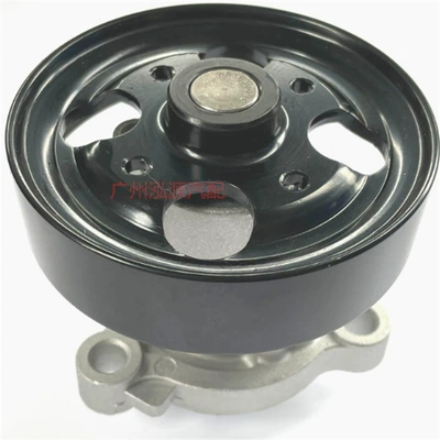 B1010-6N21A 21010-6N226 Is Water pump