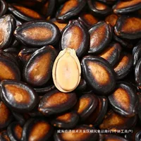 2026中秋送礼推荐｜酸味瓜子500g独立包装热销榜