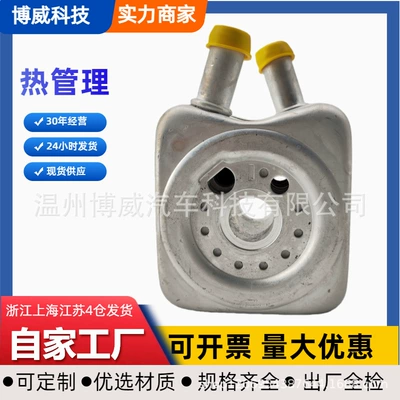 078117021A Is Suitable for Volkswagen Audi Cars and Skoda Oil Radiator Cooler