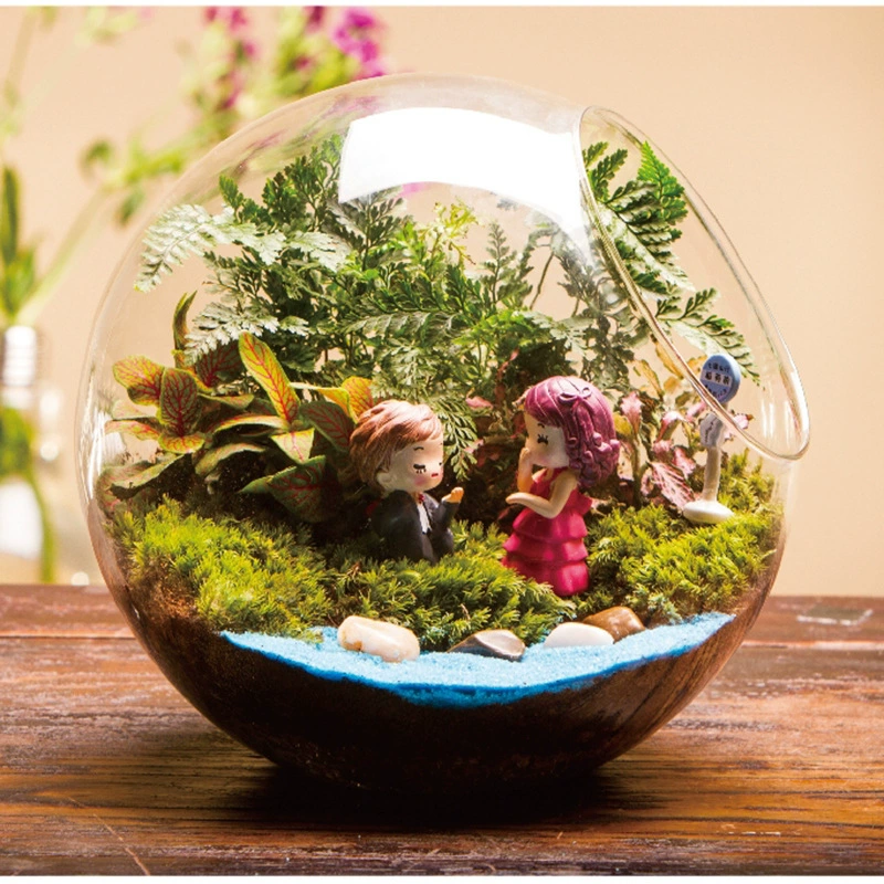 Творческий подарок мох микро пейзаж костюм экологическая бутылка костюм пара предложение подарок большая косая бутылка