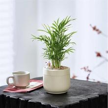 ���W����Ҭ���҃�����Gֲ�[����ꎃ����՚⸻�F��ؔ�͏d���P����