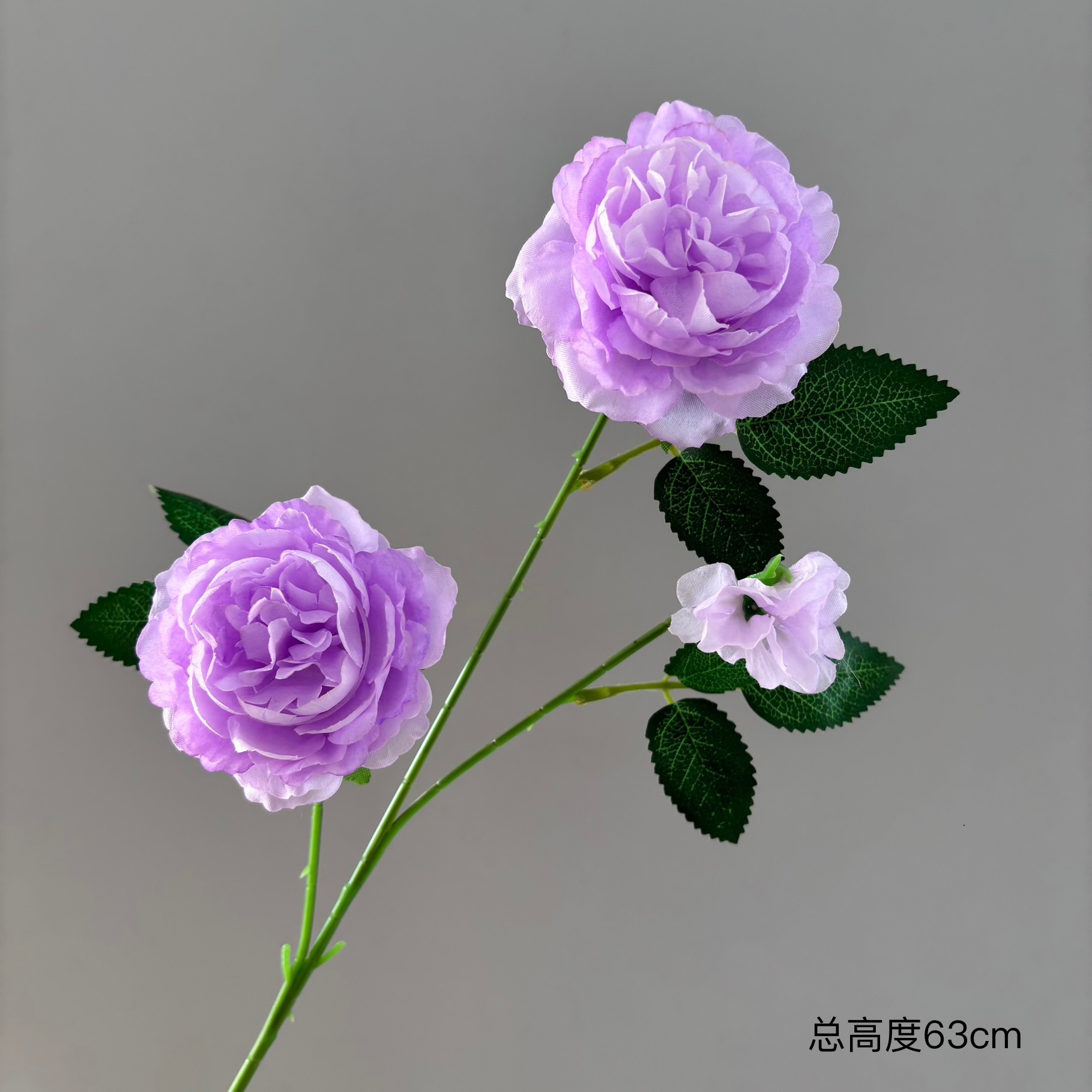 보라색