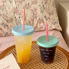 水杯女生高颜值塑料杯2024新款大容量吸管杯便携饮料杯咖啡杯杯子