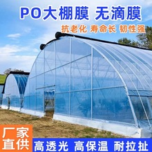 ĤĤPOĤ߲˴NֲӺoĤPEĤPOĤ