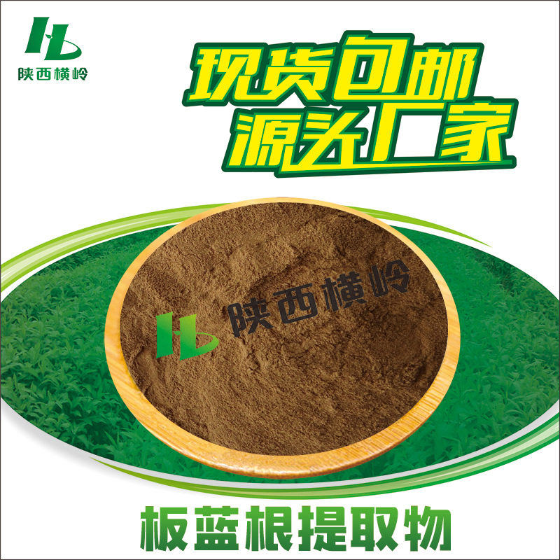 板蓝根提取物50:1高比例粉靛玉红蓝靛根量大价优中药原料