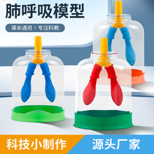 膈肌运动模型初中物理实验器材人体肺气体交换教具肺呼吸模拟器