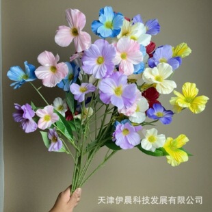 6�^��������c�Y�÷۵����Ƶ걳��������·���廨�bٻ���Y