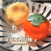 Fluid persimmon (send PVC bag)