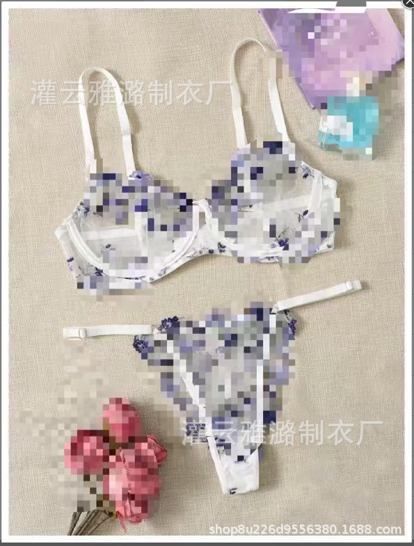 Aiyang amazon delgada ropa interior europea y americana fábrica de bordado de comercio exterior venta directa de tamaño de encaje impresión labial