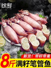 海兔子满籽墨鱼仔新鲜海兔鲜活带籽笔管鱼大乌贼籽乌鱿鱼海鲜水产