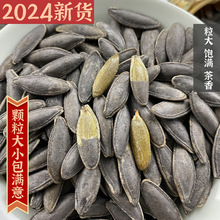 妙壳妙壳新疆美人甲茶盐味南瓜子长粒特大饱满炒货追剧年货小零食