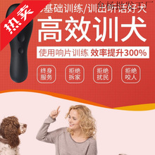 ����Ӗ؈���ָӖȮ�Ƭ���ﹷ���RȮӖ����ƷӖ����