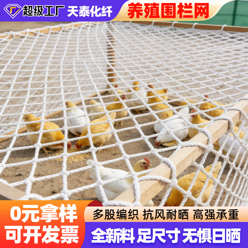 养殖围栏网家禽养殖网天井网格装饰绳家用鸡鸭养殖围栏隔档防护网