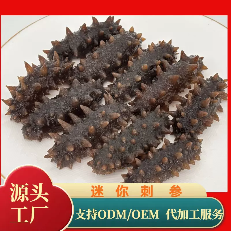 海鼎汇迷你刺参鲜食刺参肉质饱满厂家批发海参非即食酒店家庭食材