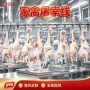 屠宰成套不锈钢家禽生产线