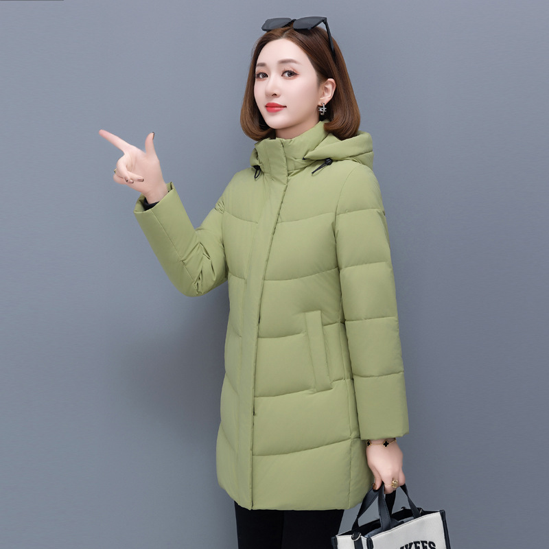 콩 녹색
