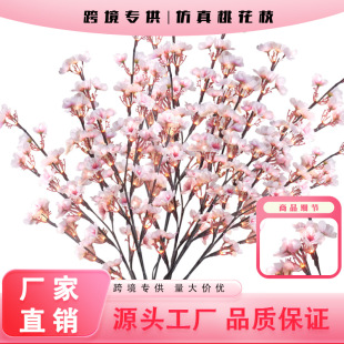 �羳���������һ�֦�٘�֦���һ���c�b�ֻ���ϻ����l�����һ�