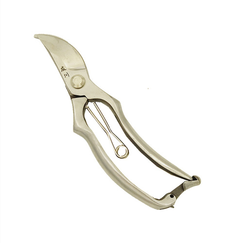 Friend River Stainless Steel Forged Pruning Shears, Forge Pruning Shears, Garden Pot Plant Bonsai Flower Art Shears, Fruit Tree Scissors