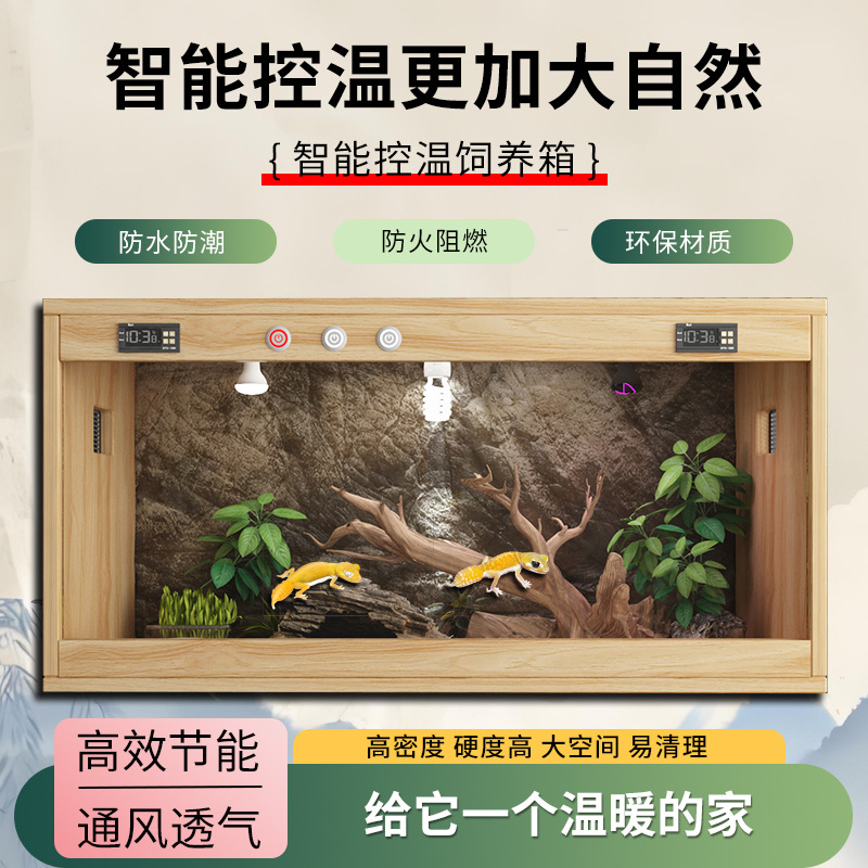 蛙眼守宫专用蜥蜴饲养箱智能温控家用带造景恒温箱睫角守宫爬宠箱