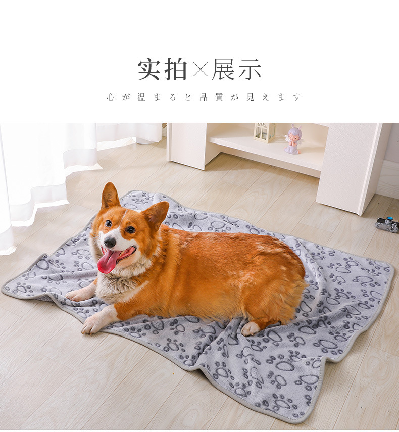 9-27毛绒宠物毛毯_10