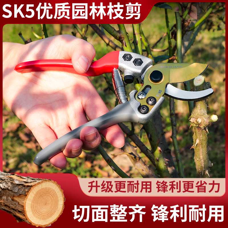 SK5 cortadora de primavera doméstica cortadora de horticultura bonsai cortadora de ramas cortadora de árboles frutales transfronterizos comercio exterior cortadora al por mayor