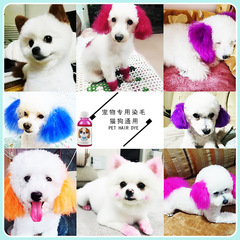 Cross-border pet dye hair dyeing cream dog permanent dyeing cream VIP Bichon Color Stain Remover Powder 100ML